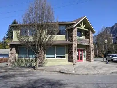 Friends of Youth - Preview